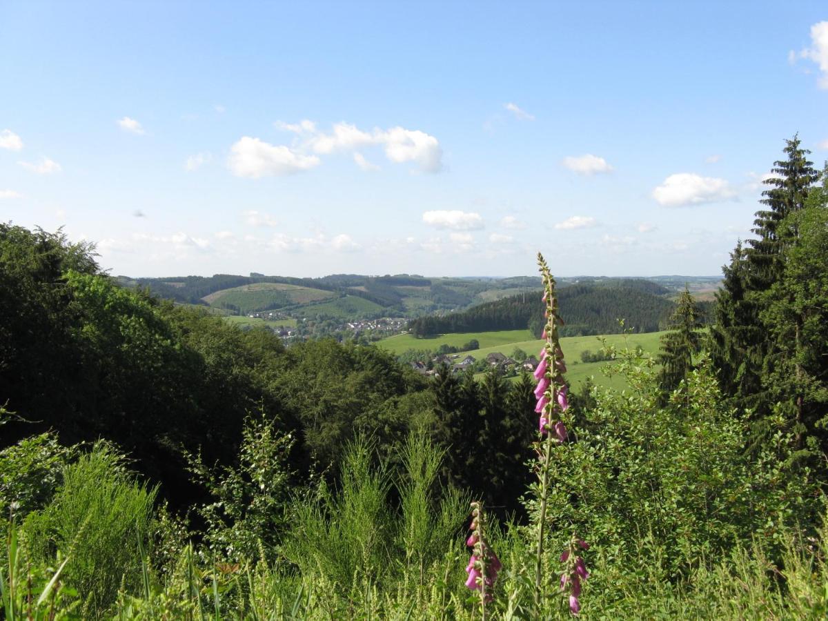 Urlaub Im Naturgarten Daire Bergneustadt Dış mekan fotoğraf